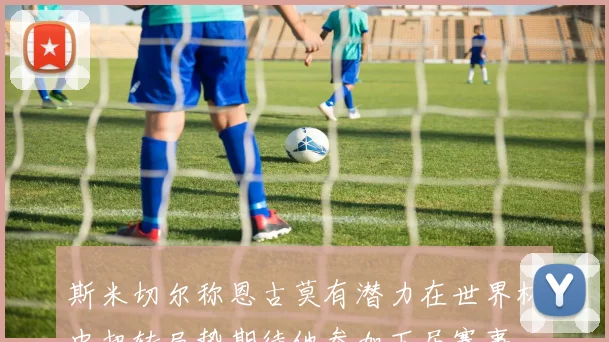 斯米切尔称恩古莫有潜力在世界杯中扭转局势期待他参加下届赛事
