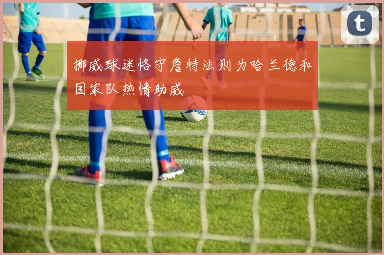 挪威球迷恪守詹特法则为哈兰德和国家队热情助威